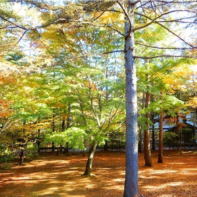 秋冬プラン